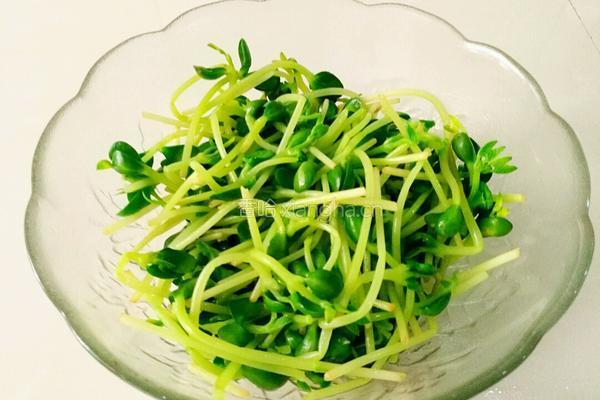 凉拌豌豆苗的做法图解4
