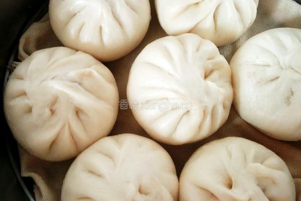 三鲜馅包子的做法图解14