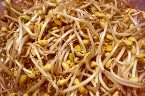 黄豆芽炒肉的做法图解1