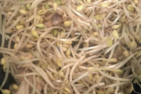 黄豆芽炒肉的做法图解4