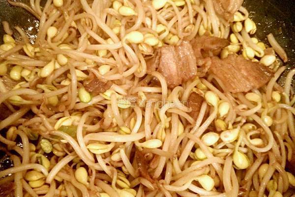 黄豆芽炒肉的做法图解5
