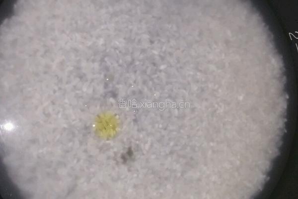 金枪鱼紫菜包饭的做法图解1