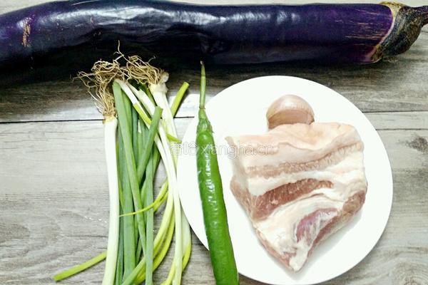 蚝油烧茄子的做法图解1