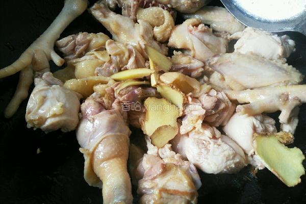 炖鸡肉的做法图解4