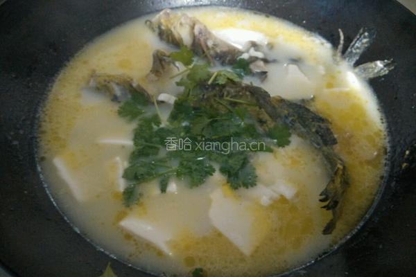 黄颡鱼炖豆腐的做法图解6