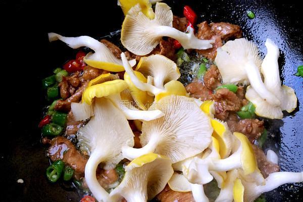 蘑菇豆腐的做法图解9