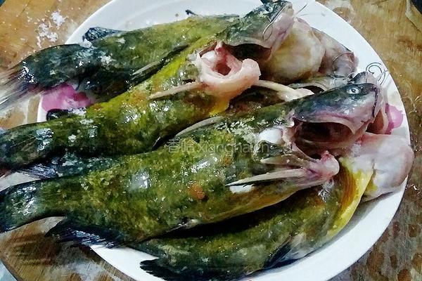 红烧昂刺鱼的做法图解1