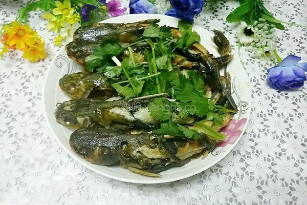 红烧昂刺鱼的做法图解9