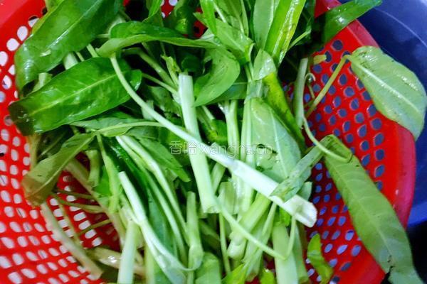 蒜炒空心菜的做法图解4
