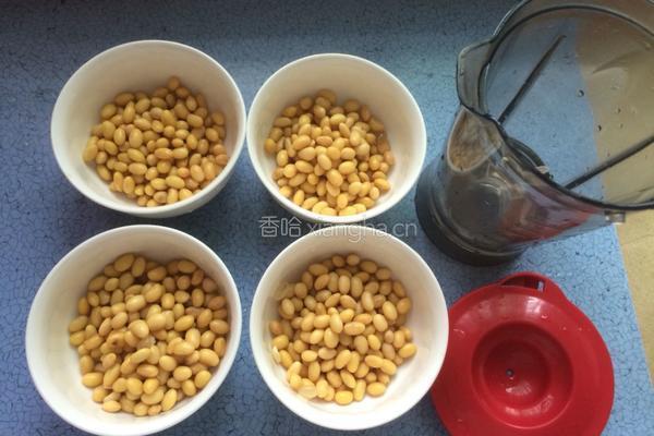 自制老豆腐的做法图解3