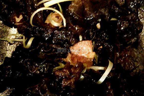 猪肉炒木耳的做法图解4