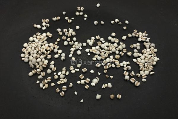 薏米排骨冬瓜汤的做法图解2