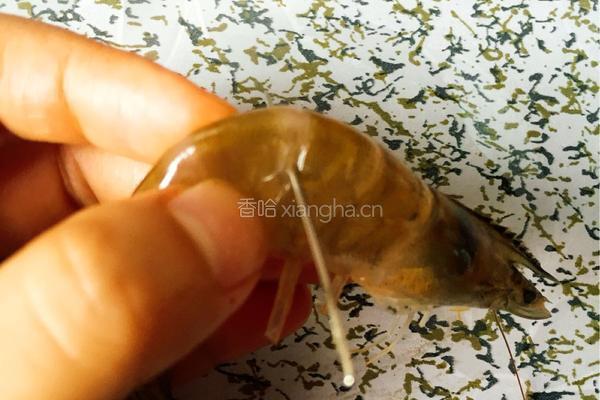 红烧虾的做法图解3