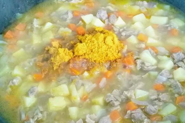 胡萝卜土豆炖牛肉的做法图解7