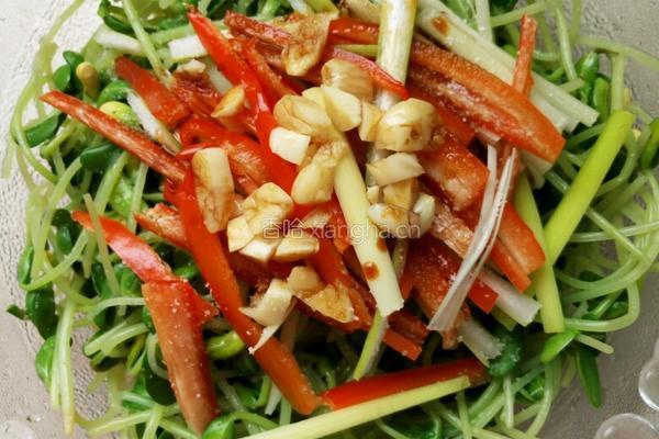 拌黑豆苗的做法图解4