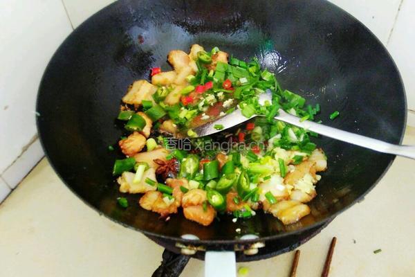 猪肉炖粉条的做法图解5