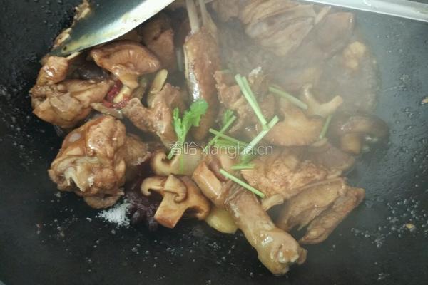 蘑菇烧鸡的做法图解7