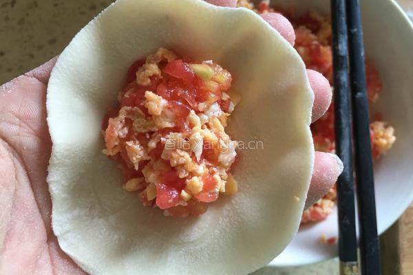 西红柿鸡蛋水饺的做法图解14