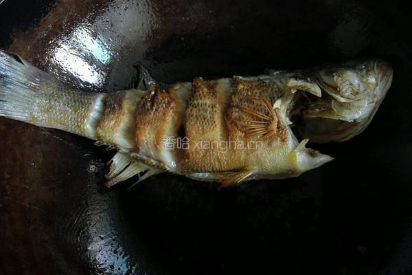 豆瓣酱烧鲈鱼的做法图解6