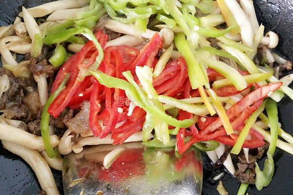 牛肉海鲜菇的做法图解9