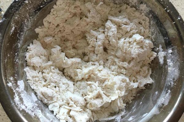 韭菜木耳水饺的做法图解1