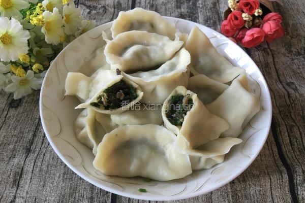韭菜木耳水饺的做法图解15
