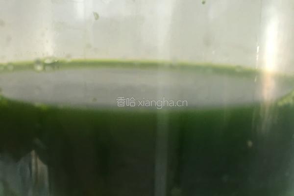 白菜水饺的做法图解2