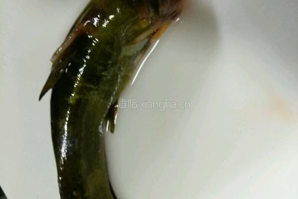 昂刺鱼炖蛋的做法图解1