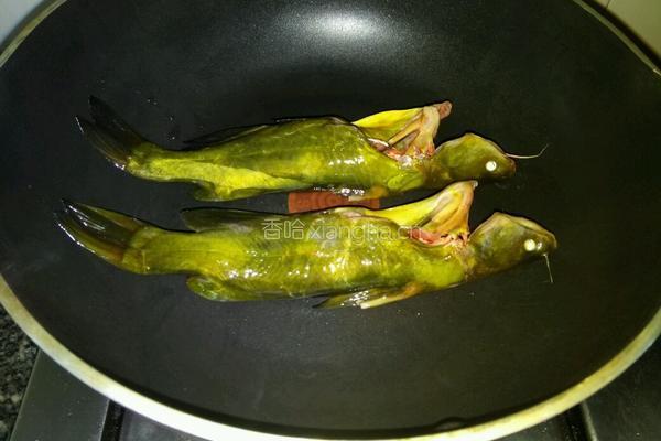 黄骨鱼豆腐汤的做法图解3