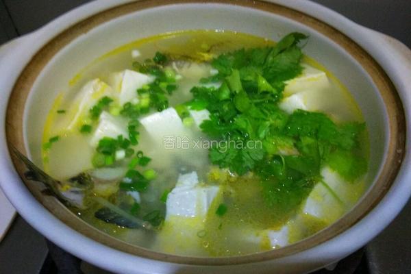 黄骨鱼豆腐汤的做法图解9