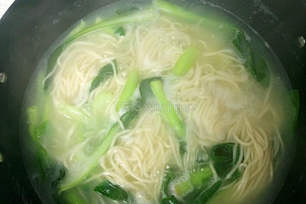 红烧肉面的做法图解6