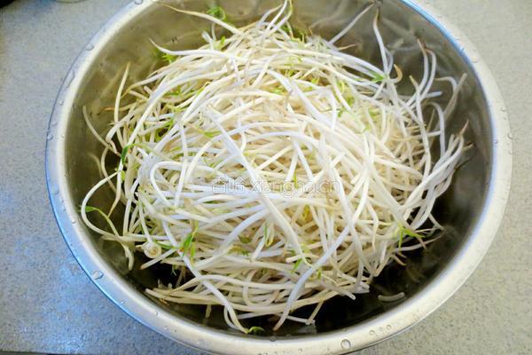 豆豉鲮鱼绿豆芽的做法图解4