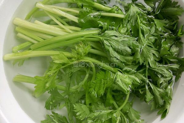 木耳芹菜包子的做法图解5
