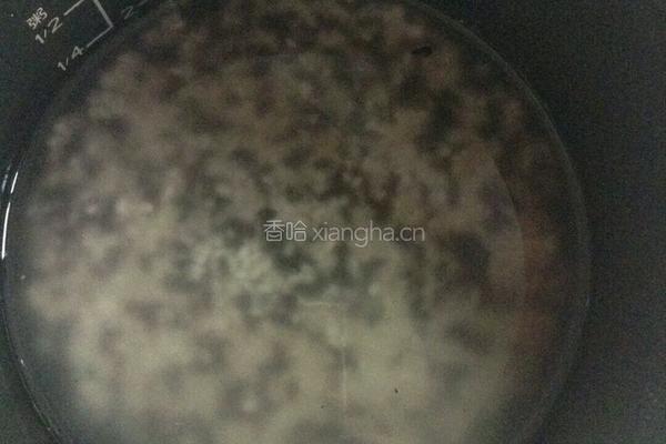 台湾饭团的做法图解2