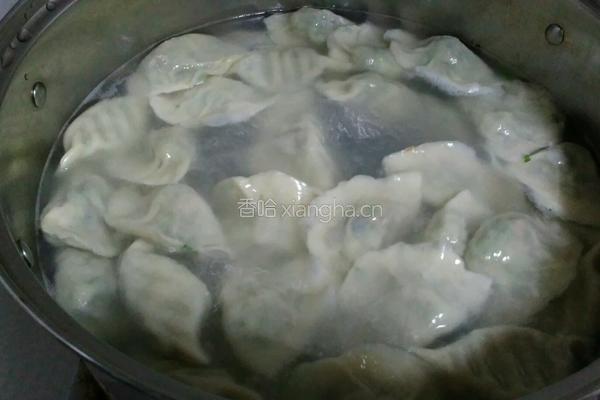 韭菜鸡蛋虾仁饺子的做法图解12