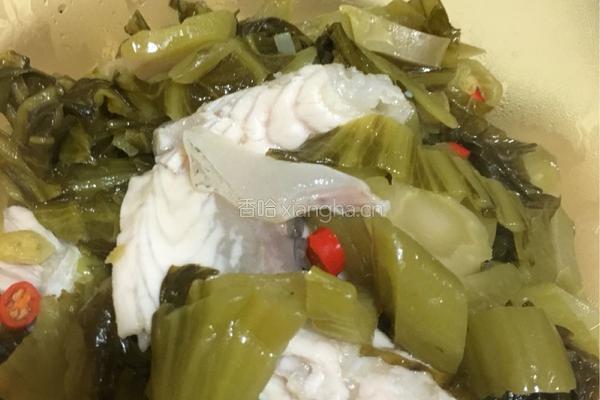 酸菜鱼的做法图解8