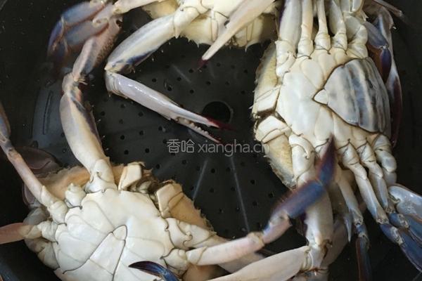 清蒸海蟹的做法图解3