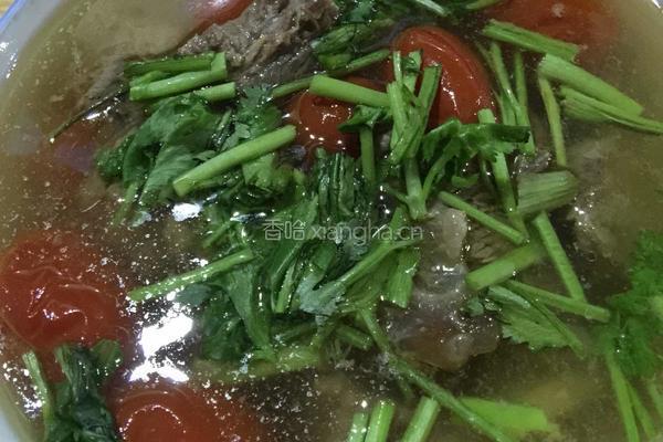西红柿牛肉汤