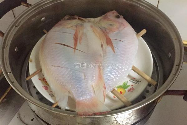 清蒸深海红斑鱼的做法图解4