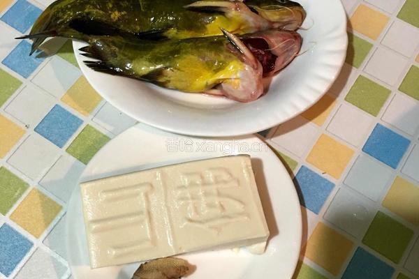黄骨鱼炖豆腐的做法图解1