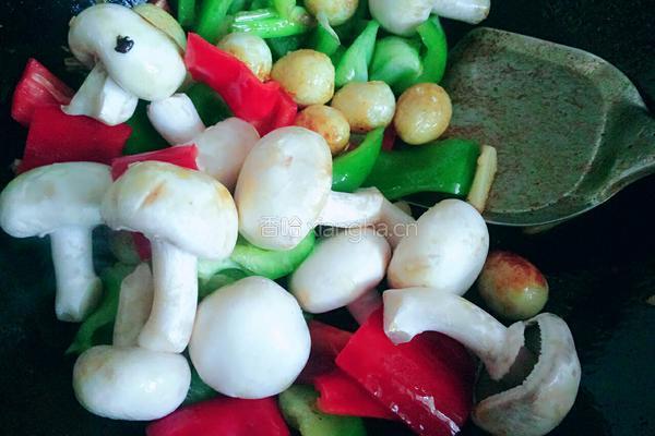 口蘑鹌鹑蛋烧肉的做法图解5