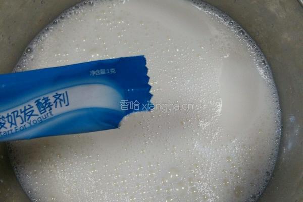 DIY酸奶的做法图解4