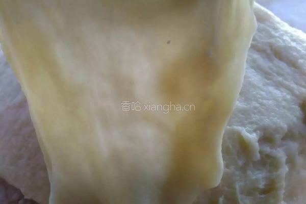 蜂蜜小餐包的做法图解8