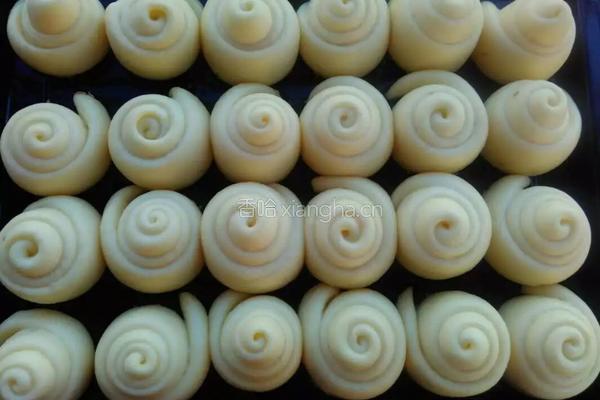 蜂蜜小餐包的做法图解18