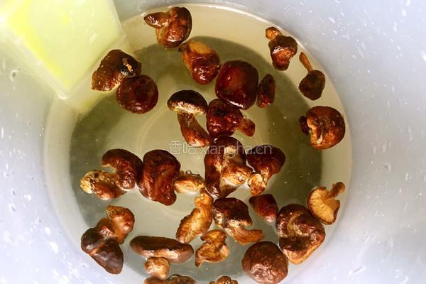 鲍鱼炖肉的做法图解1