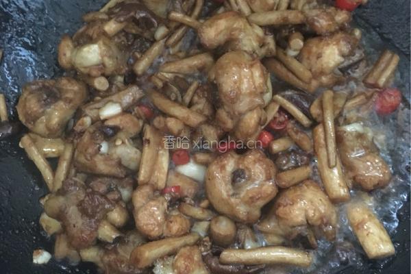 茶树菇干锅鸡的做法图解9