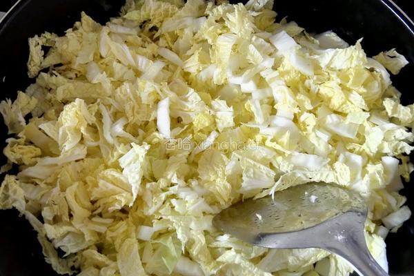 白菜炒肉的做法图解6