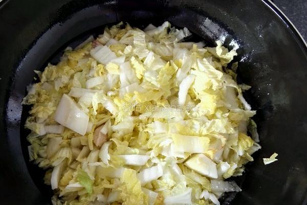 白菜炒肉的做法图解7