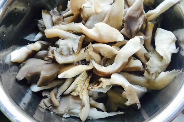 平菇鸡蛋的做法图解1