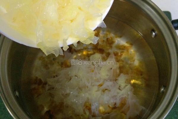 牛奶桃胶银耳羹的做法图解9